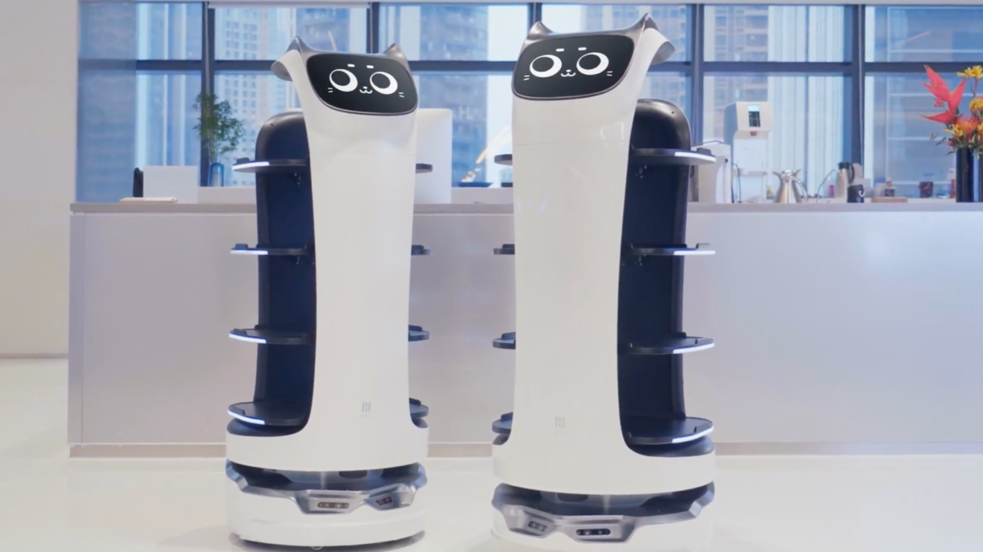 Image of two BellaBot's in a restaurant